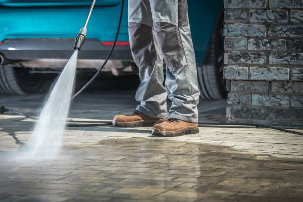 Best Gutter Cleaning  in Willow Grove, PA